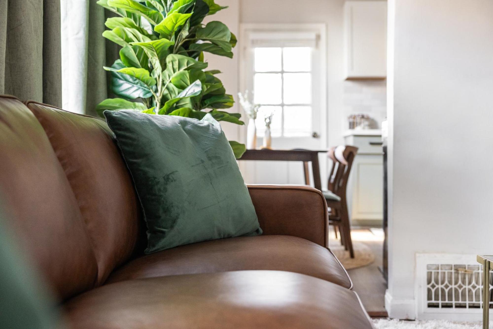 Mid-Century Modern Retreat In Little Italy Leilighet Cleveland Eksteriør bilde